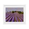 Stupell Industries Lavender Fields Farmland Framed Print Under Glass, design by Tim Coffey